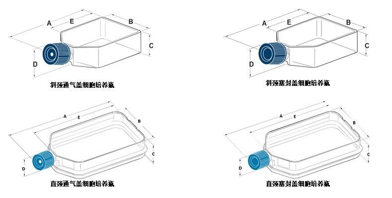 BD Falcon品牌介紹|細(xì)胞培養(yǎng)瓶|細(xì)胞濾網(wǎng)